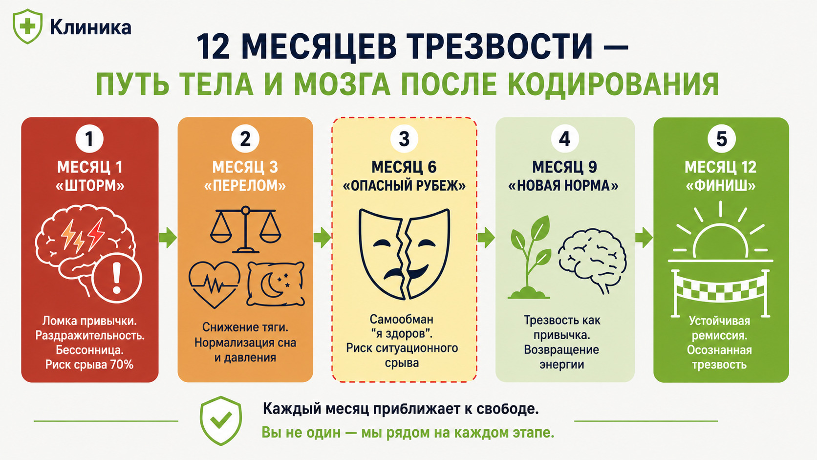 Инфографика восстановления организма по месяцам после кодирования от алкоголизма на 1 год: 1, 3, 6, 9, 12 месяцев трезвости