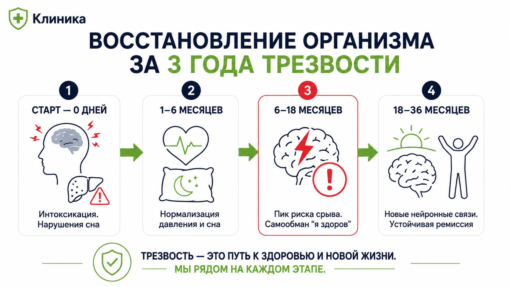 Инфографика восстановления организма по этапам после кодирования от алкоголизма на 3 года: 0 дней, 1-6 месяцев, 6-18 месяцев, 18-36 месяцев трезвости